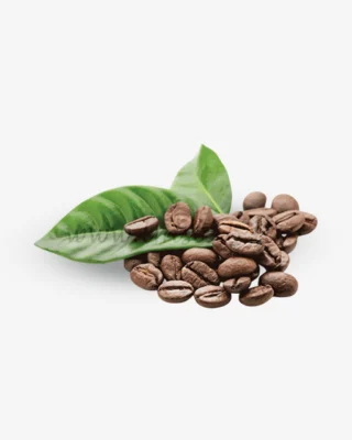 رائحة القهوة { كابتشينو } 100مل