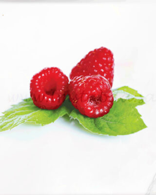 رائحه-التوت-الأحمر-100مل.jpg