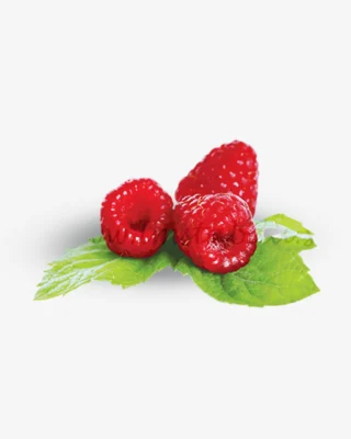 رائحه التوت الأحمر 100مل