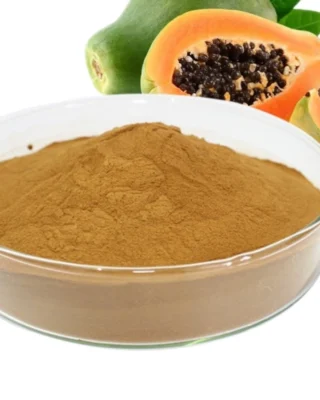 خلاصه البابايا