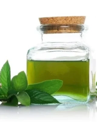 زيت النعناع تركيز عالي